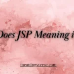JSP Meaning