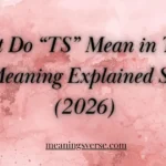 What Do “TS” Mean in Text? Full Meaning Explained Simply 2026
