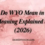 What Do WYO Mean in Text? Full Meaning Explained Simply (2026)
