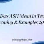 What Does ASH Mean in Text? Full Meaning & Examples 2026