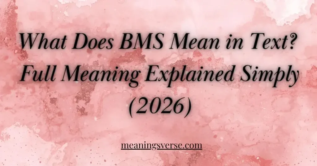 What Does BMS Mean in Text? Full Meaning Explained Simply (2026)