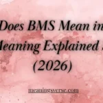 What Does BMS Mean in Text? Full Meaning Explained Simply (2026)