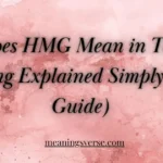 What Does HMG Mean in Text? Full Meaning Explained Simply (2026 Guide)