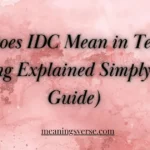 What Does IDC Mean in Text? Full Meaning Explained Simply (2026 Guide)