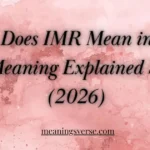 What Does IMR Mean in Text? Full Meaning Explained Simply (2026)
