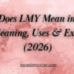 What Does LMY Mean in Text? Full Meaning, Uses & Examples (2026)
