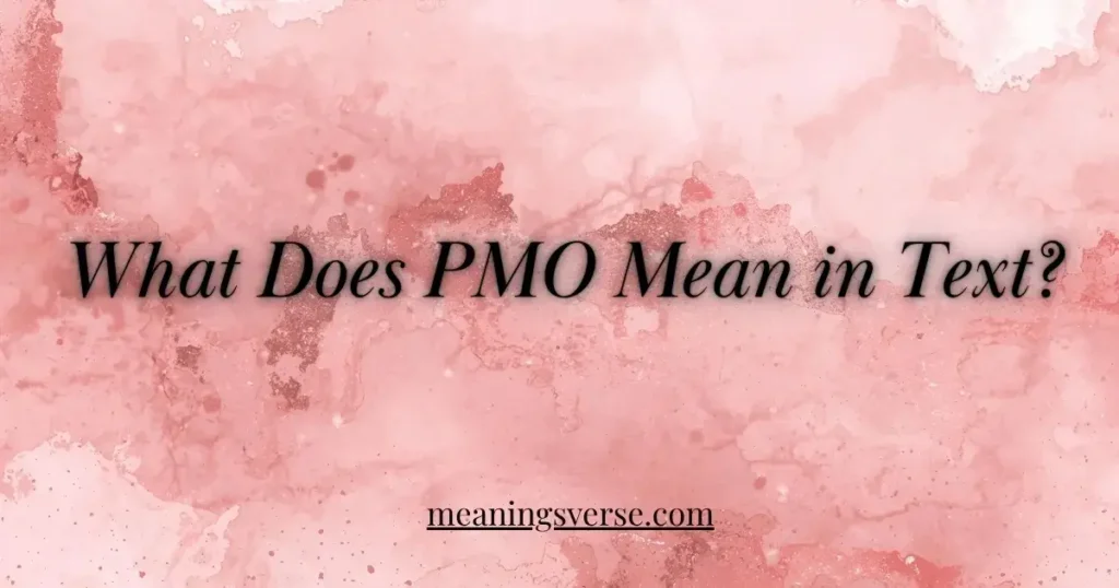 What Does PMO Mean in Text?
