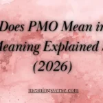 What Does PMO Mean in Text? Full Meaning Explained Simply (2026)