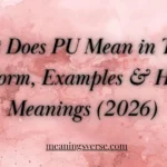 What Does PU Mean in Text? Full Form, Examples & Hidden Meanings (2026)