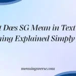 What Does SG Mean in Text? Full Meaning Explained Simply 2026