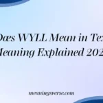 What Does WYLL Mean in Text? Real Meaning Explained 2026