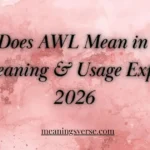 What Does AWL Mean in Text? Full Meaning & Usage Explained 2026