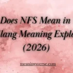 What Does NFS Mean in Text? Full Slang Meaning Explained 2026