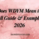 What Does WDYM Mean in Text? Full Guide & Examples 2026